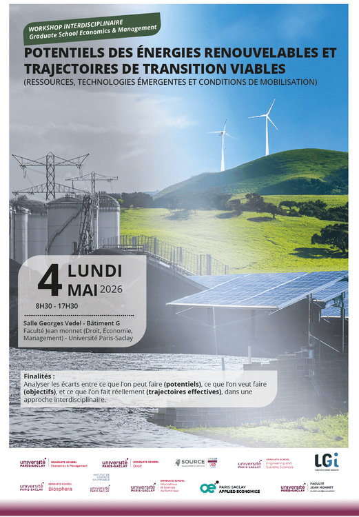 Interdisciplinary workshop: THE POTENTIAL OF RENEWABLE ENERGY AND VIABLE TRANSITION PATHWAYS